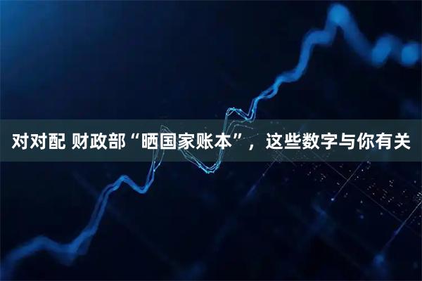 对对配 财政部“晒国家账本”，这些数字与你有关
